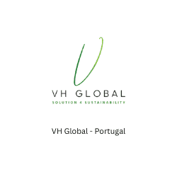 VH Global   Portugal BeeHive Consultants Corporate Training SDGs Faisal Shaikh